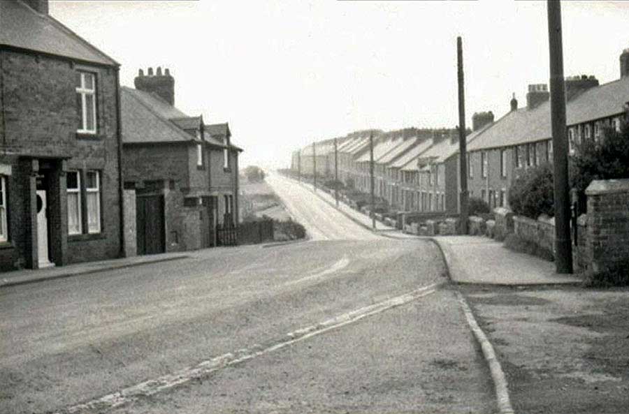 Looking along Havannah Terrace