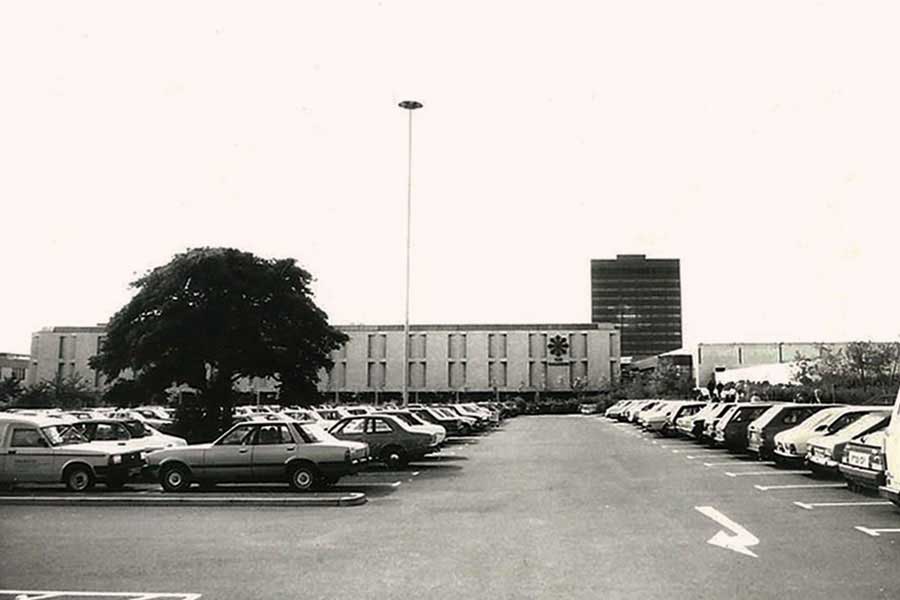 Tree in Galleries Car Park