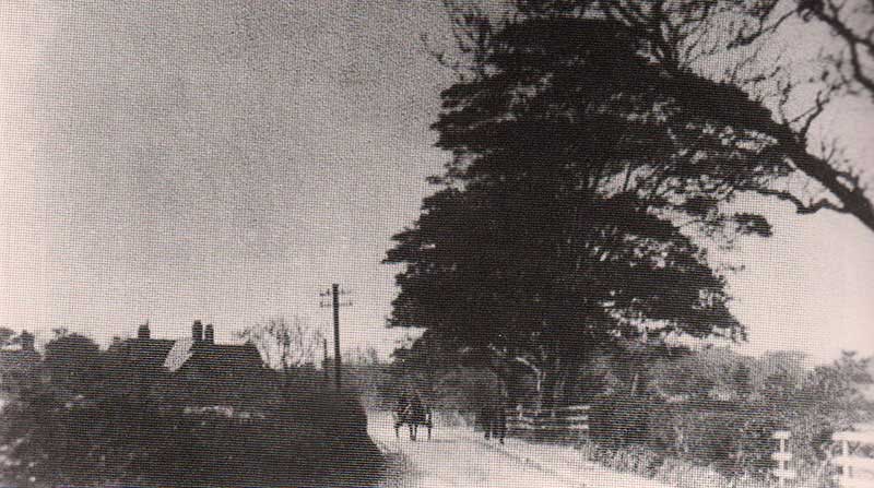Pre-1900s Station Road