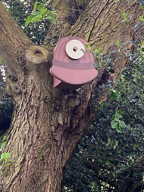 Bird Box