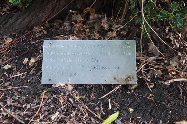 Small Plaque at tree base