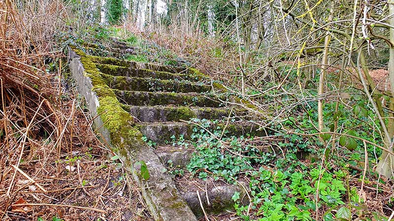 North Biddick Colliery Site 2018